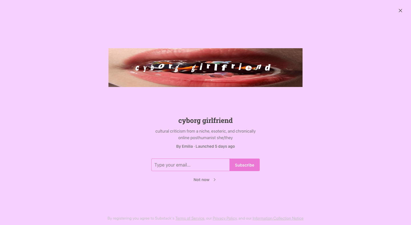 Cyborg Girlfriend homepage