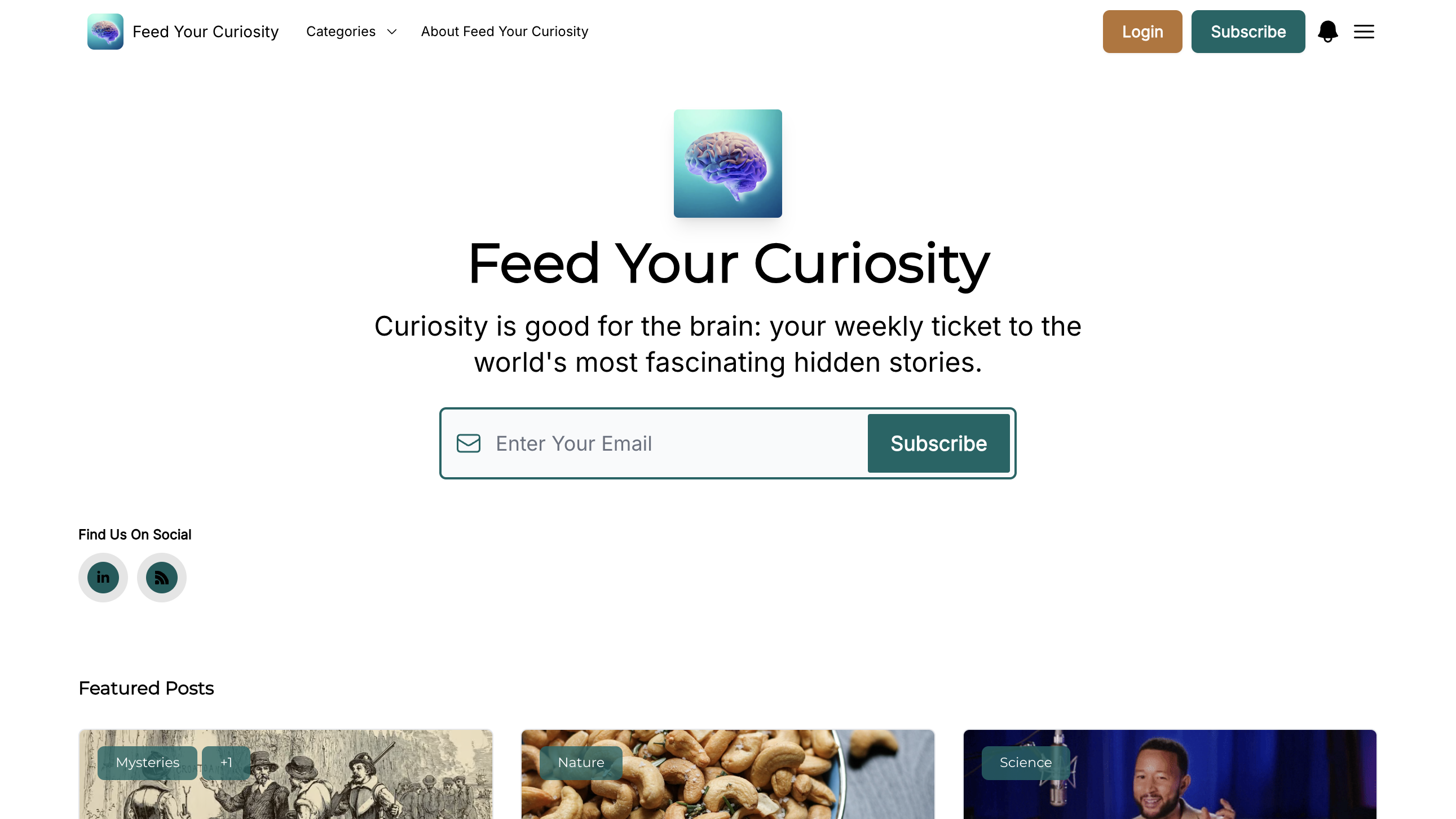 Feed Your Curiosity homepage