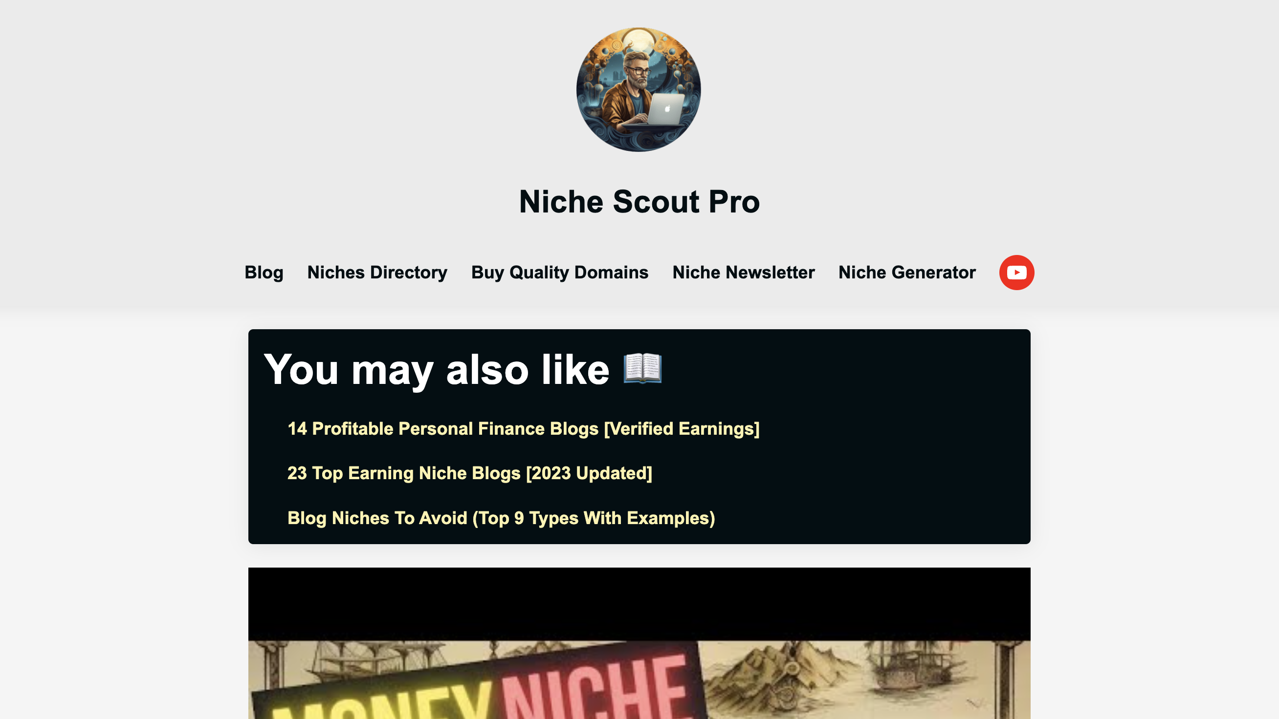 Niche Scout Newsletter homepage