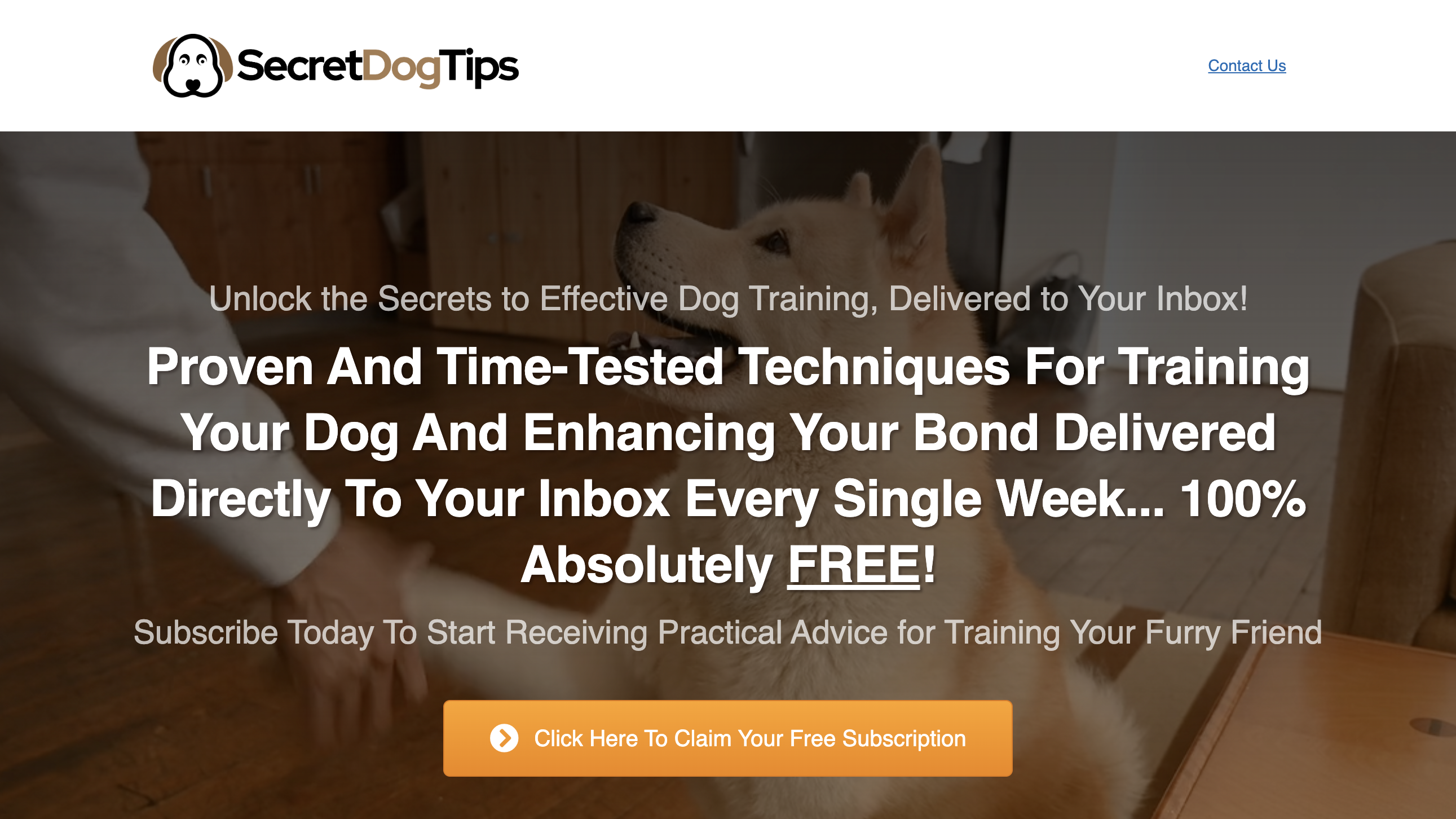 Secret Dog Tips homepage